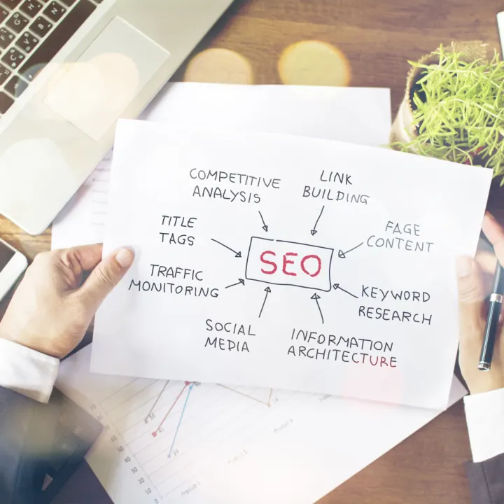 seo expert gold coast